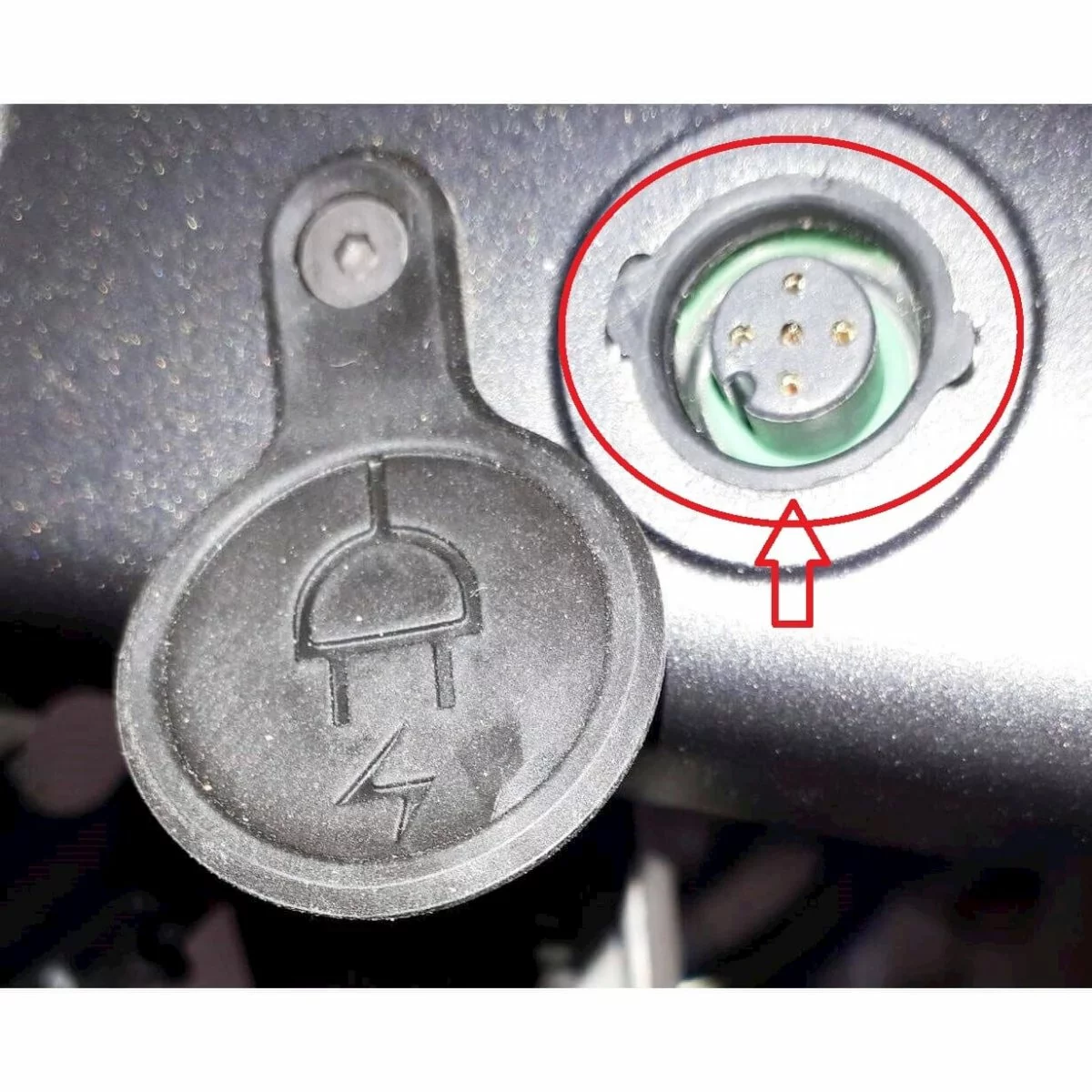 Cortina Tætnings Ring Loading Gate C/G Type 3 Cortina Tætnings Ring Loading Gate C/G Type