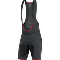 GORE BIKE WEAR Gore Shorts ALP-X PRO 2in1 M/seler